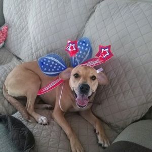 Meet your Posher, Betty